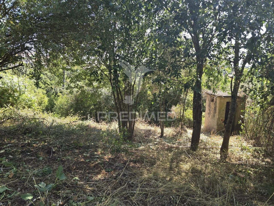 Moradia T2 para Venda em Santa Clara e Castelo Viegas Foto 4
