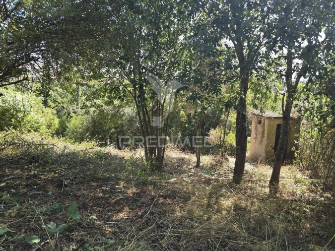 Moradia T2 para Venda em Santa Clara e Castelo Viegas Foto 4