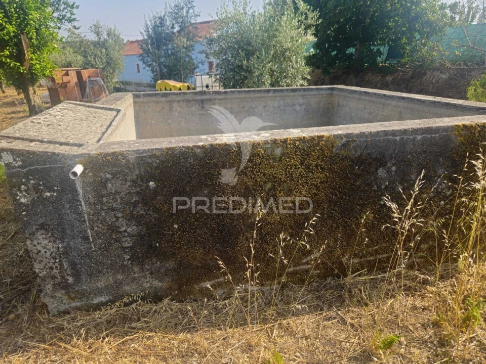 Terreno para Venda em Beco Foto 6