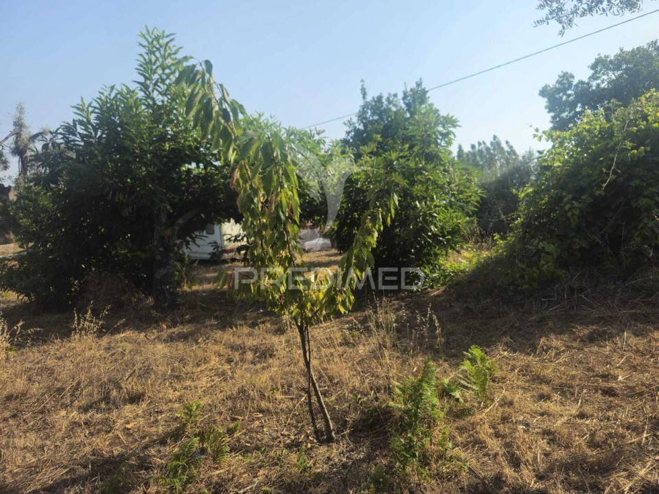 Terreno para Venda em Beco Foto 7
