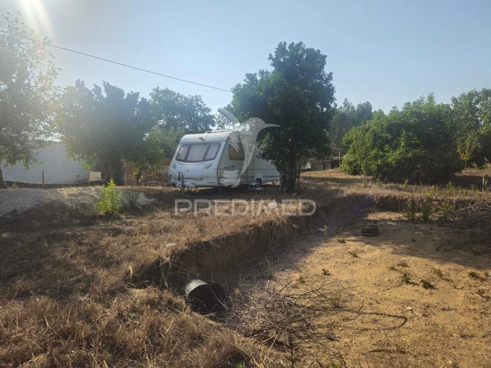 Terreno para Venda em Beco Foto 3