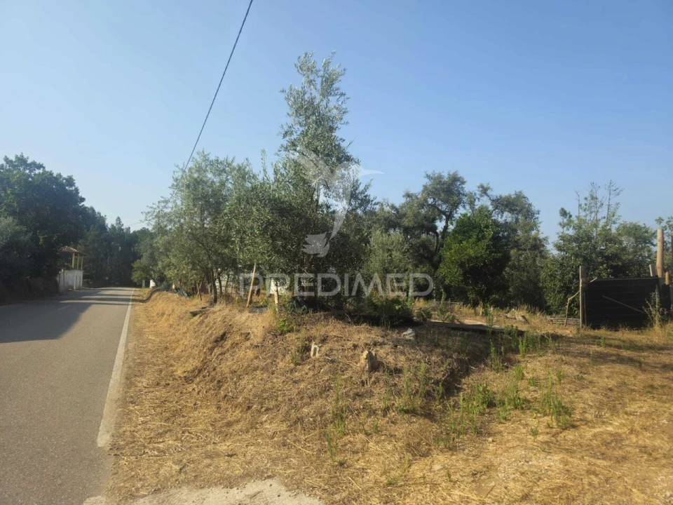 Terreno para Venda em Beco Foto 14