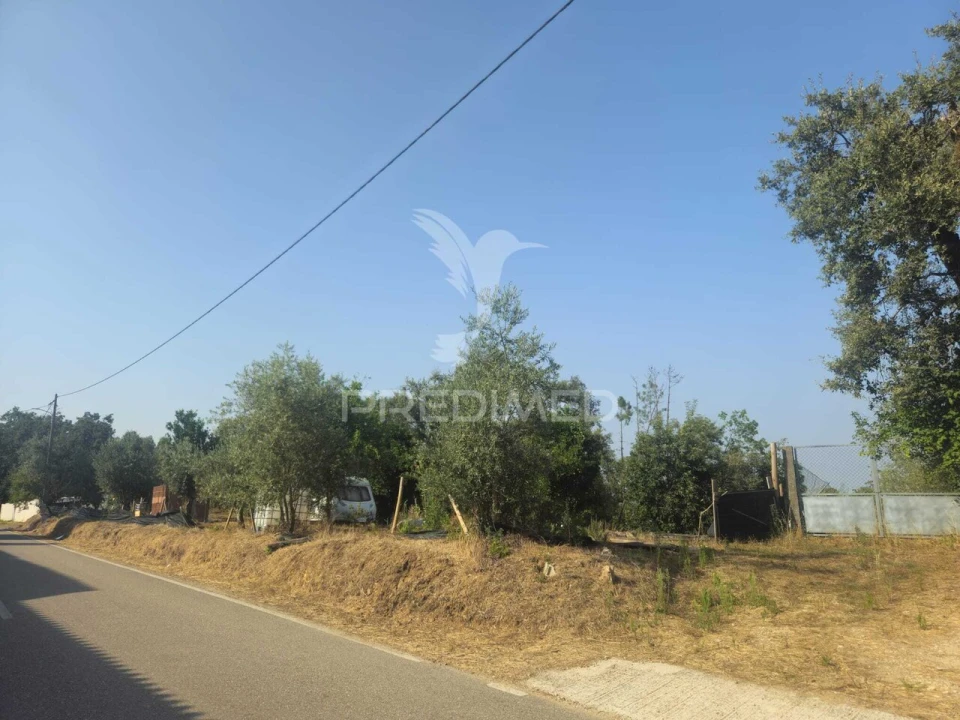 Terreno para Venda em Beco Foto 16