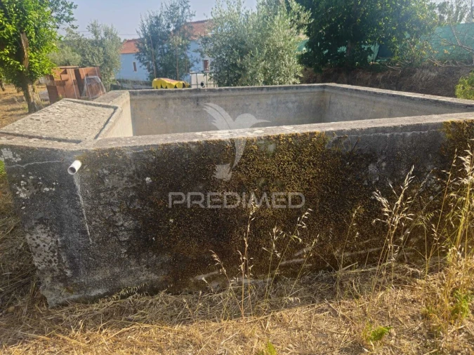 Terreno para Venda em Beco Foto 6