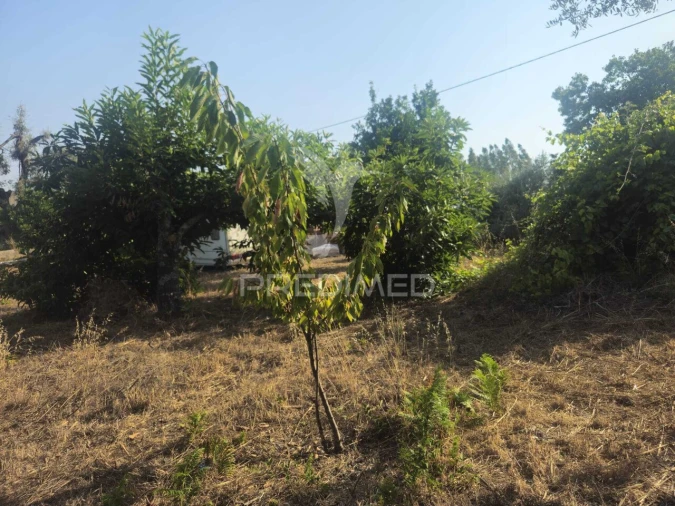 Terreno para Venda em Beco Foto 7
