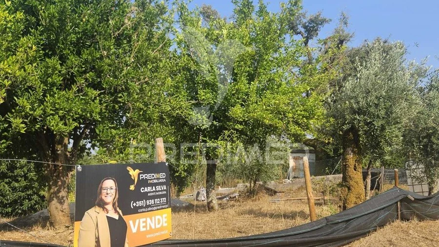 Terreno para Venda em Beco