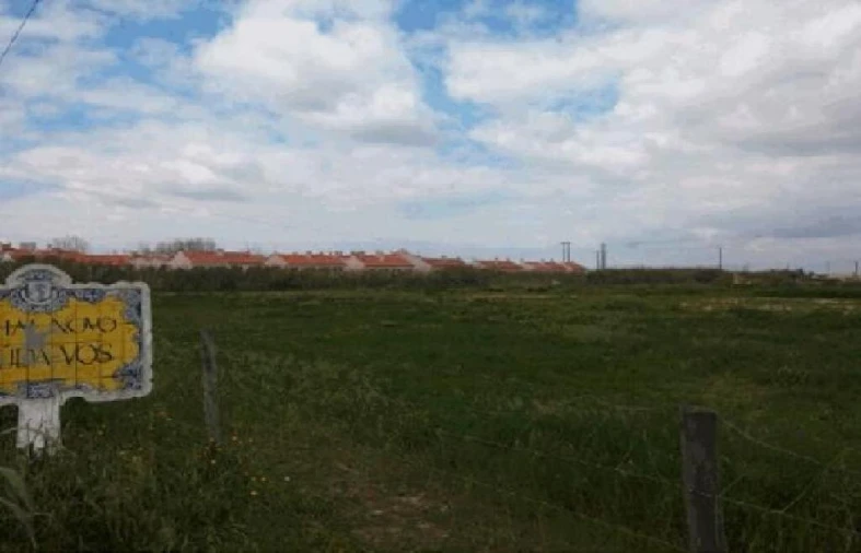 Terreno para Venda em Pinhal Novo Foto 6