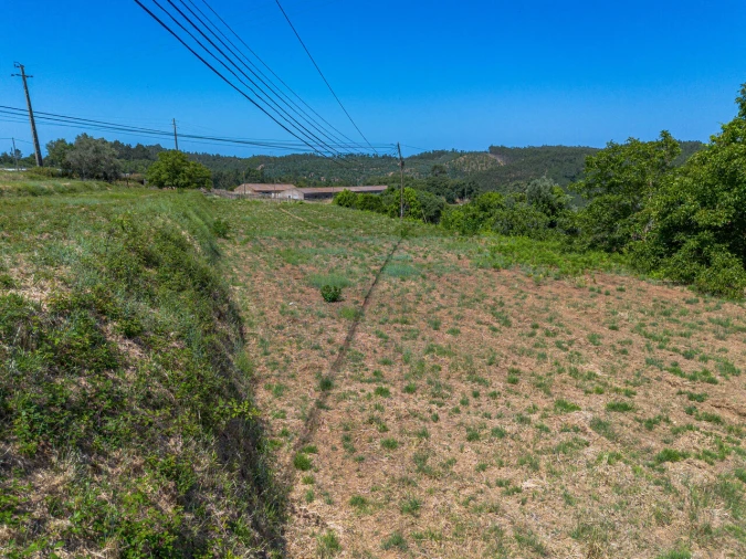 Terreno para Venda em Marmelete Foto 4