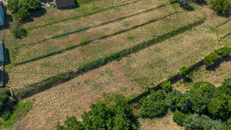 Terreno para Venda em Marmelete
