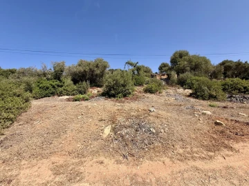 Terreno para Venda em Lagos (São Sebastião e Santa Maria)