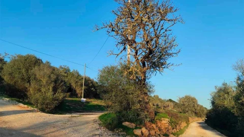 Terreno para Venda em Lagos (São Sebastião e Santa Maria)