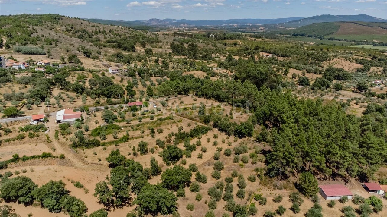 Terreno para Venda em Capinha Foto 8