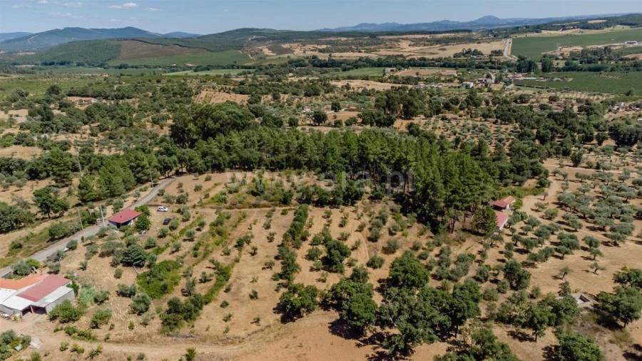 Terreno para Venda em Capinha Foto 9