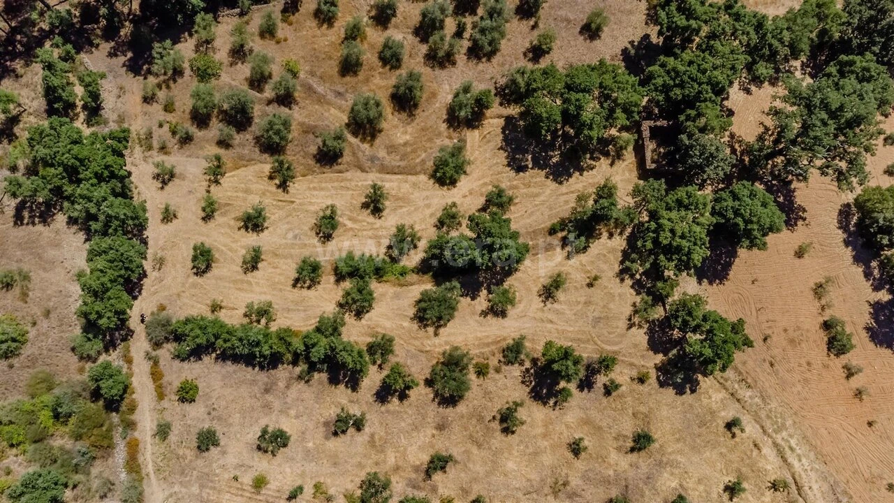 Terreno para Venda em Capinha Foto 1
