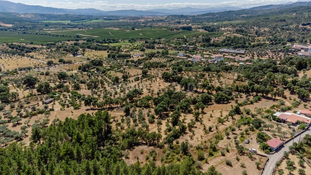 Terreno para Venda em Capinha Foto 10