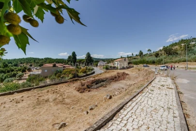 Terreno para Venda em Capinha