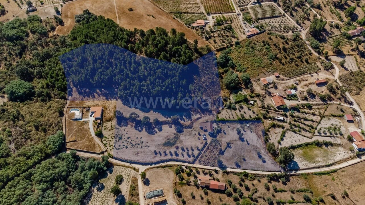 Quinta T4 para Venda em Peraboa Foto 1
