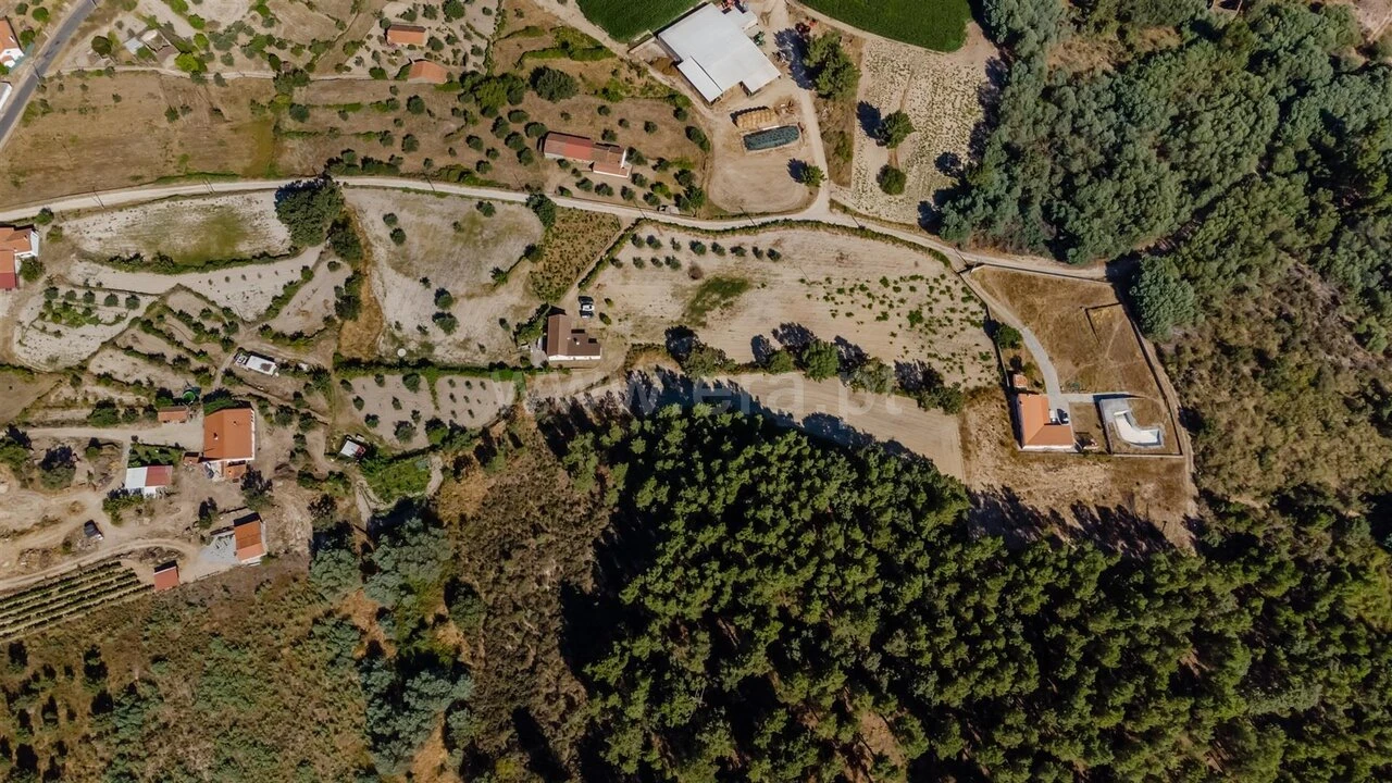 Quinta T4 para Venda em Peraboa Foto 19