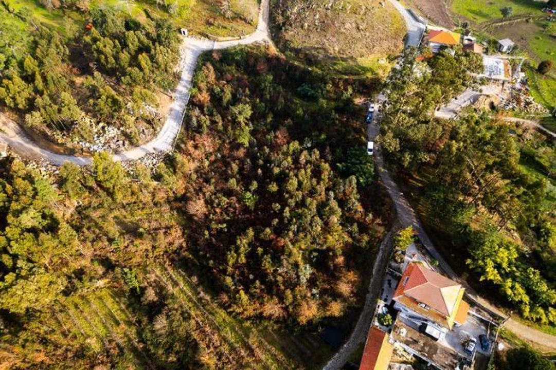 Terreno para Venda em Penhalonga e Paços de Gaiolo Foto 2