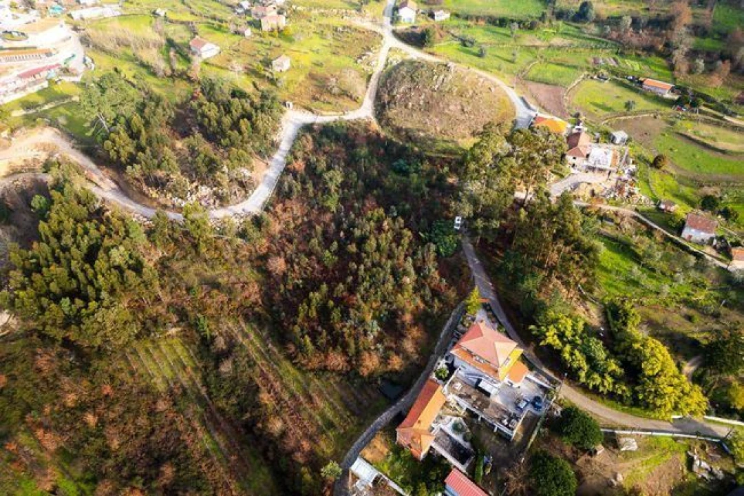 Terreno para Venda em Penhalonga e Paços de Gaiolo Foto 4