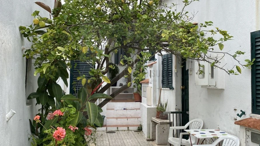 Apartamento T1 para Arrendamento em Campo de Ourique