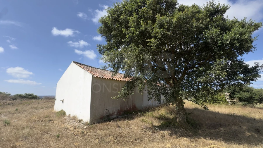 Loja para Venda em Lourinhã e Atalaia