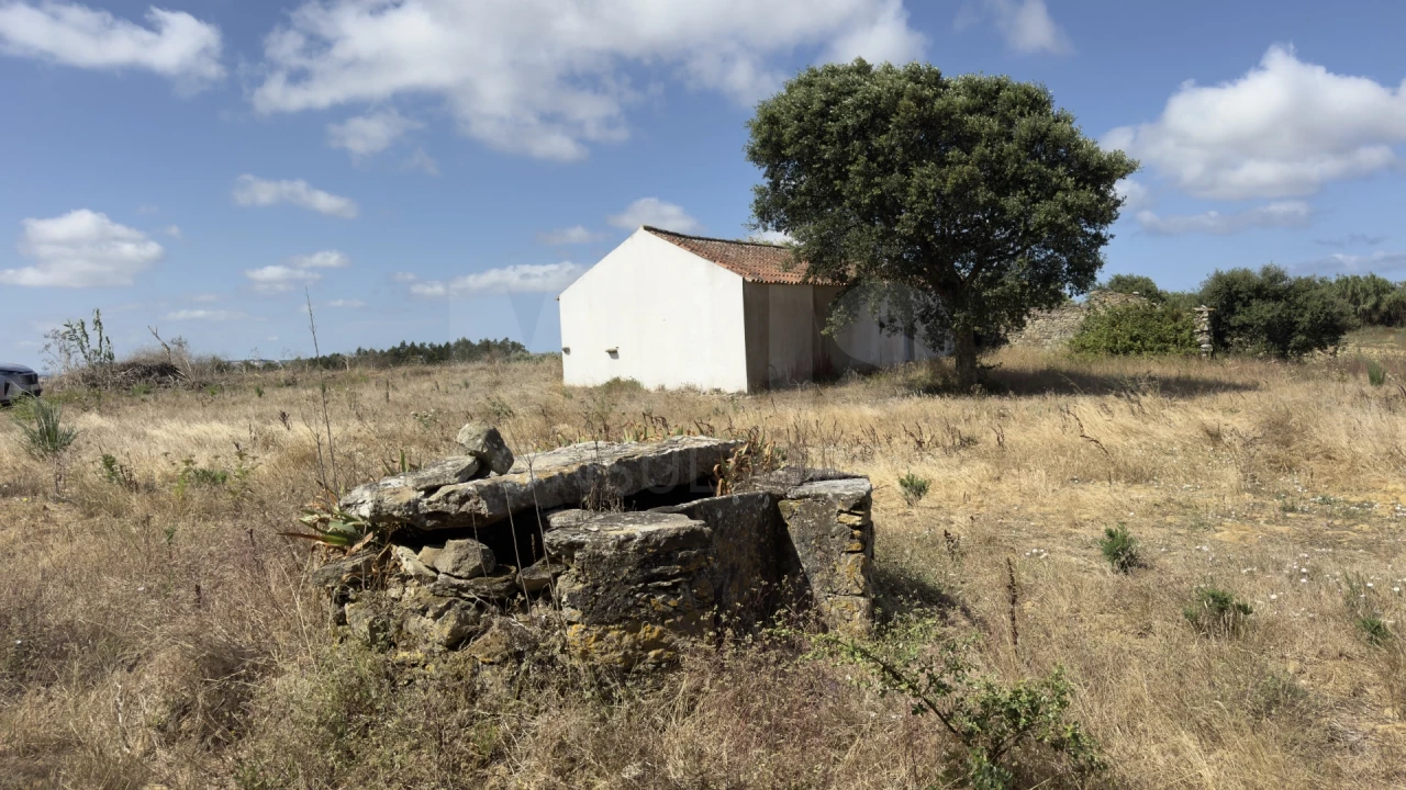 Loja para Venda em Lourinhã e Atalaia Foto 1
