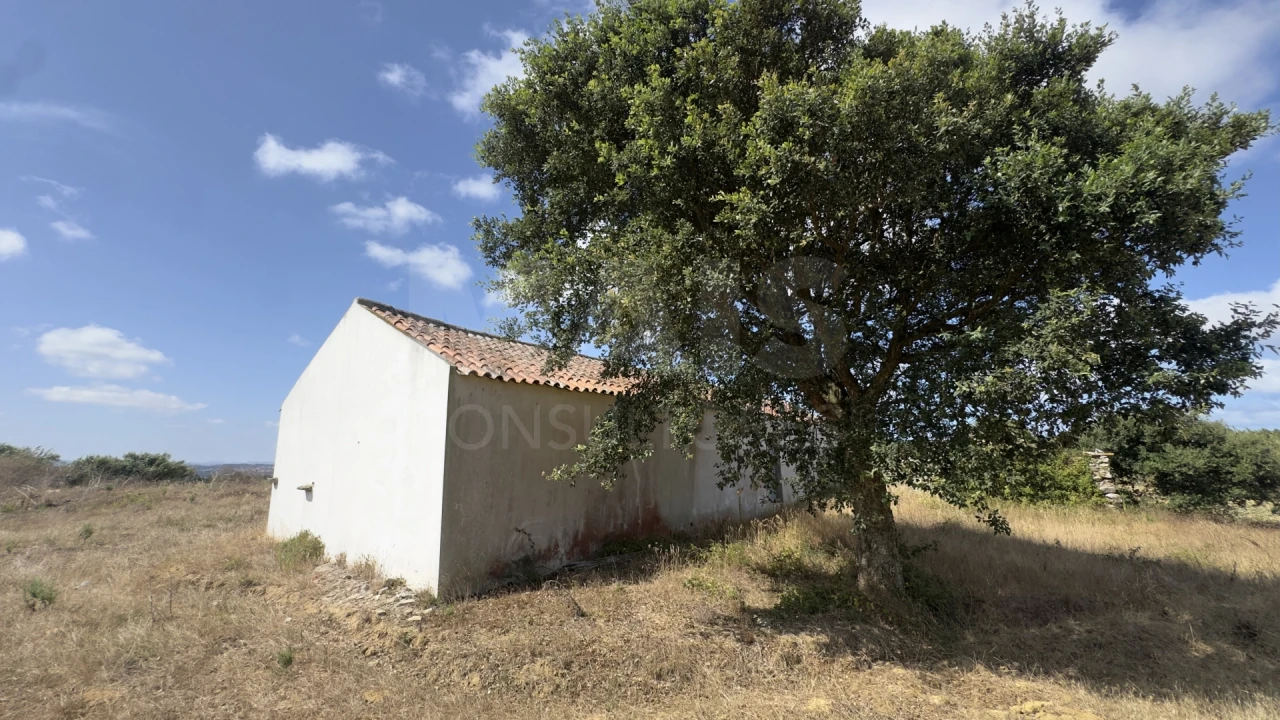 Loja para Venda em Lourinhã e Atalaia Foto 2