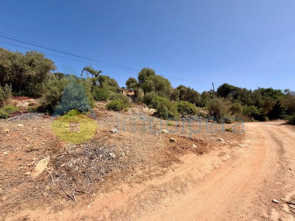 Terreno para Venda em Lagos (São Sebastião e Santa Maria) Foto 4