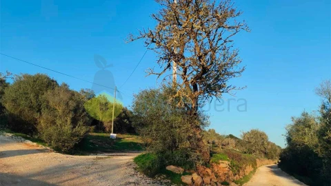 Terreno para Venda em Lagos (São Sebastião e Santa Maria)