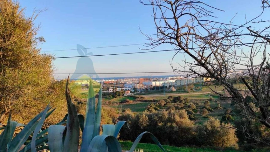 Terreno para Venda em Lagos (São Sebastião e Santa Maria) Foto 12