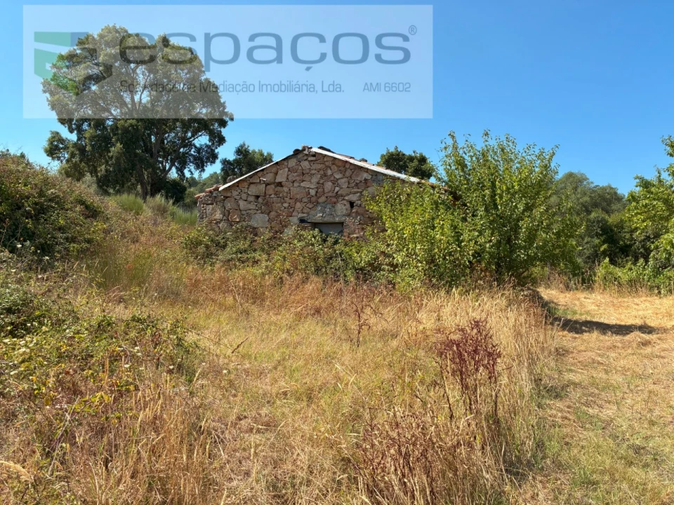 Terreno Agricola ou Rústico para Venda em Telhado Foto 1