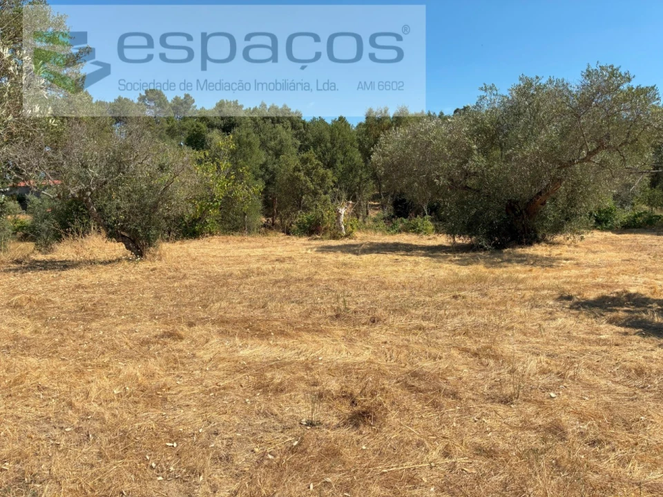 Terreno Agricola ou Rústico para Venda em Telhado Foto 4