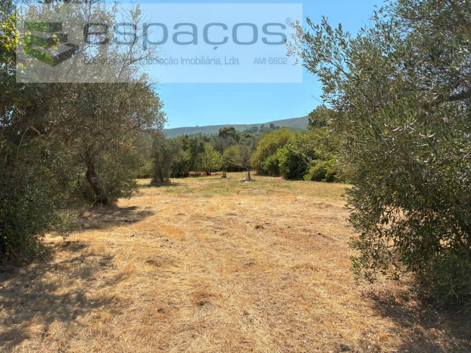 Terreno Agricola ou Rústico para Venda em Telhado Foto 5