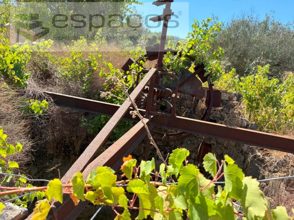 Terreno Agricola ou Rústico para Venda em Telhado Foto 10