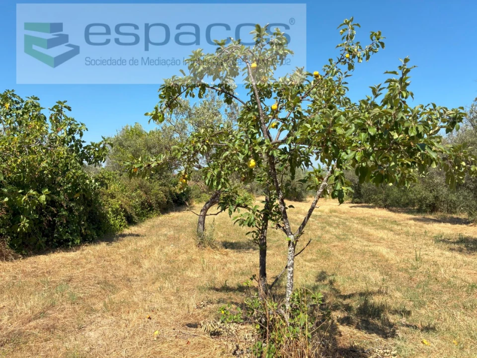 Terreno Agricola ou Rústico para Venda em Telhado Foto 15