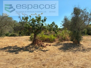 Terreno Agricola ou Rústico para Venda em Telhado
