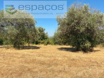 Terreno Agricola ou Rústico para Venda em Telhado