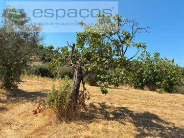 Terreno Agricola ou Rústico para Venda em Telhado
