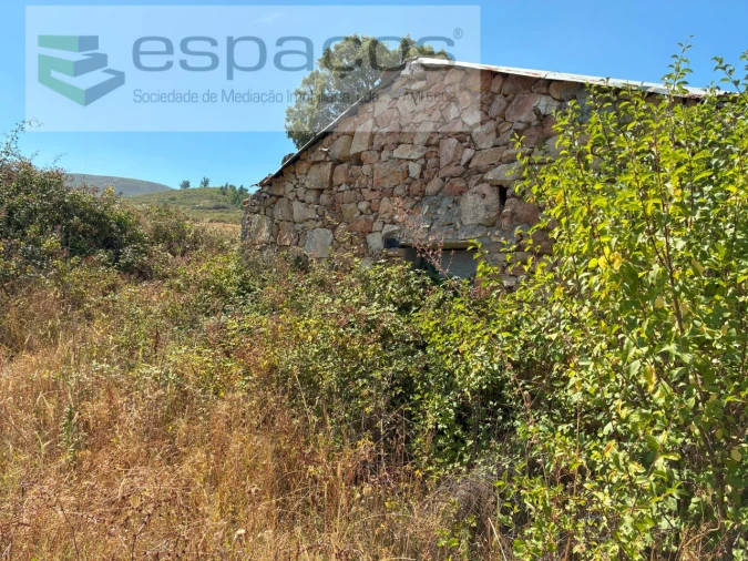 Terreno Agricola ou Rústico para Venda em Telhado Foto 3