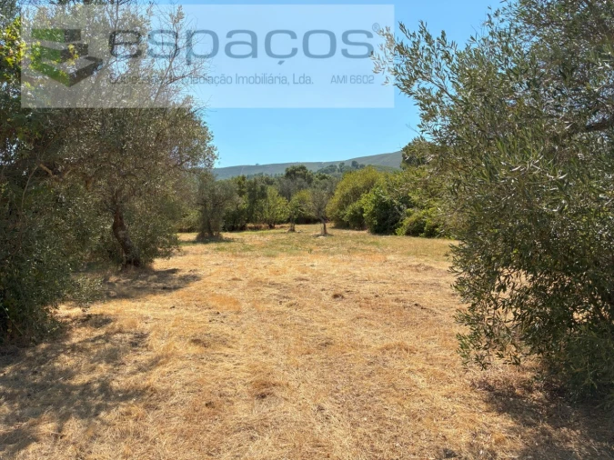 Terreno Agricola ou Rústico para Venda em Telhado Foto 5