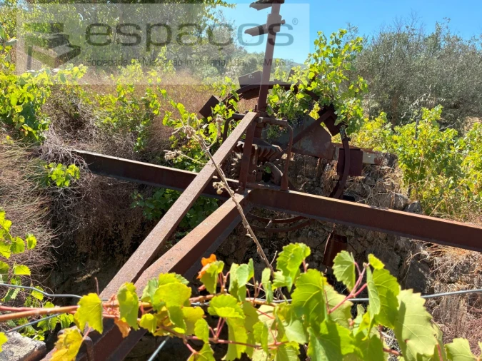Terreno Agricola ou Rústico para Venda em Telhado Foto 10