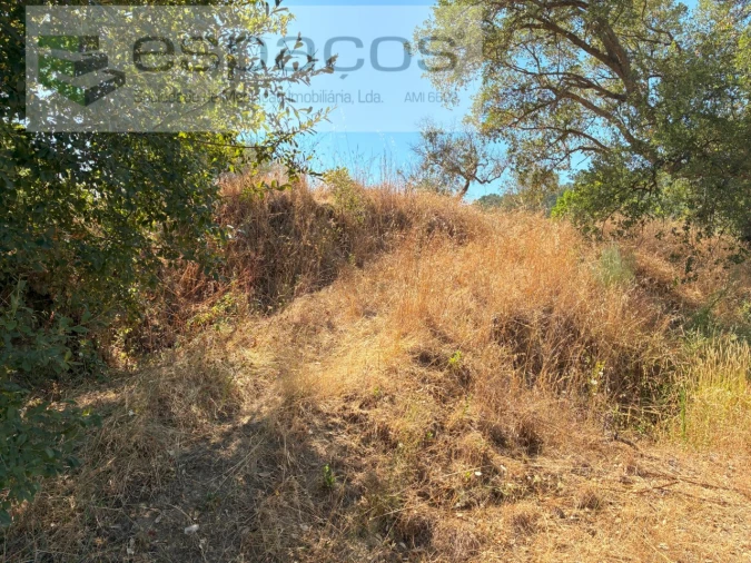 Terreno Agricola ou Rústico para Venda em Telhado Foto 17