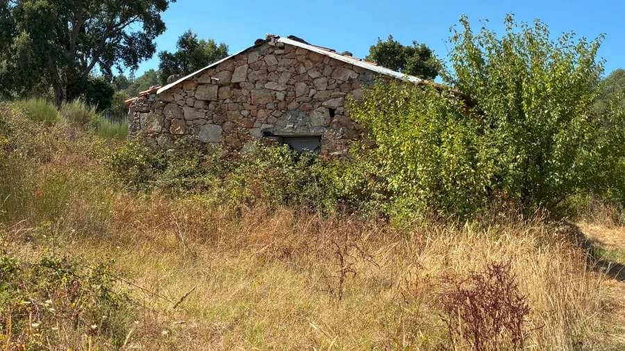 Terreno Agricola ou Rústico para Venda em Telhado