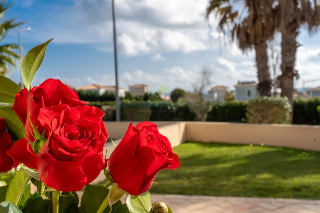 Moradia T1 para Venda em Albufeira e Olhos de Água Foto 12