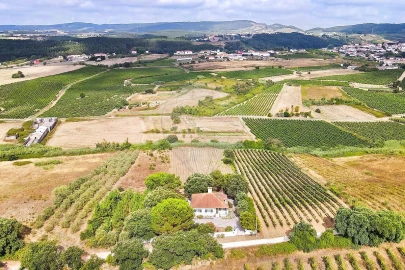 Moradia T4 para Venda em Ventosa