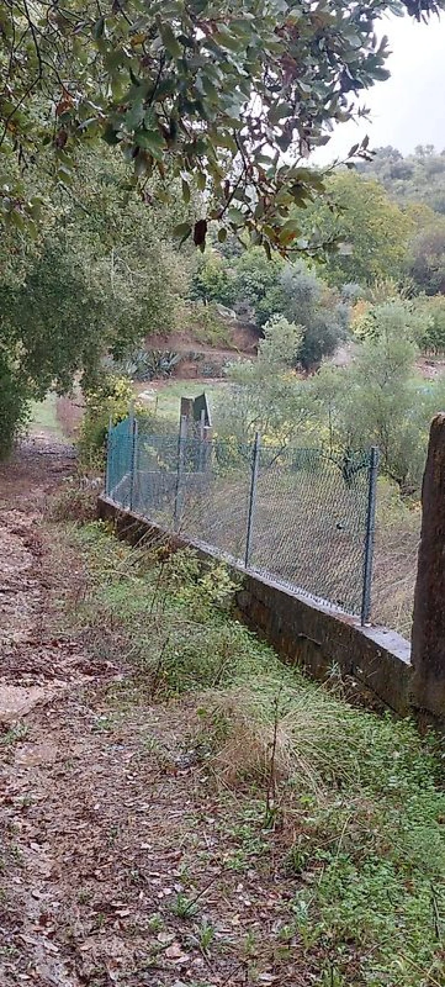 Terreno para Venda em Torres Novas (Santa Maria, Salvador e Santiago) Foto 6