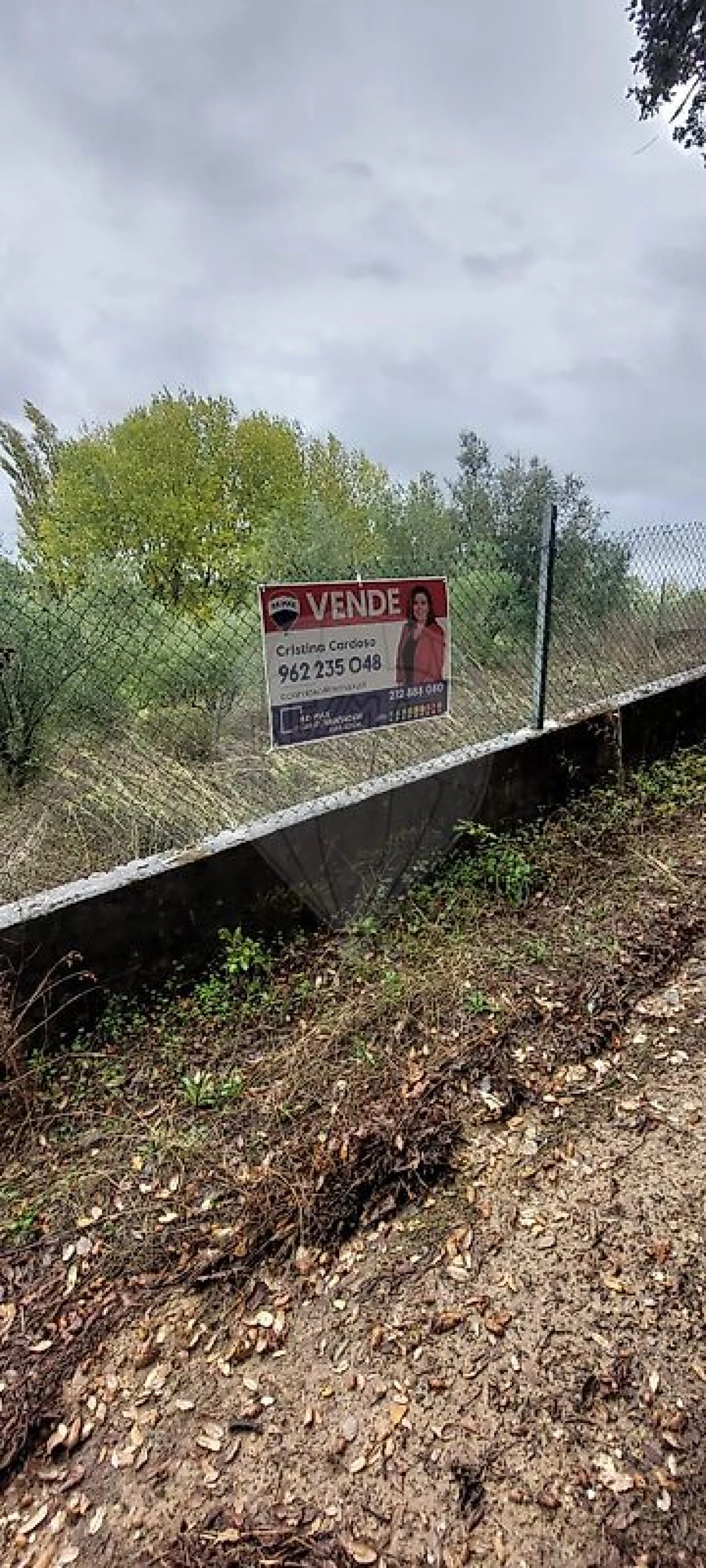 Terreno para Venda em Torres Novas (Santa Maria, Salvador e Santiago) Foto 7
