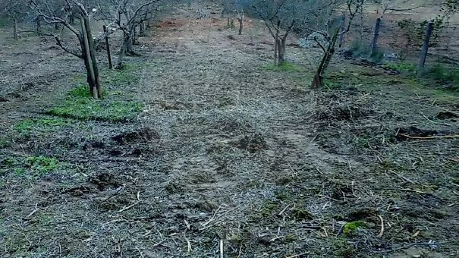 Terreno para Venda em Torres Novas (Santa Maria, Salvador e Santiago)
