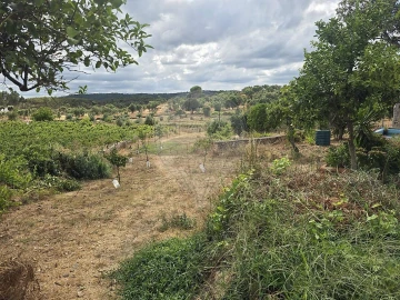 Moradia T4 para Venda em Envendos